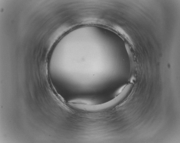 X0000070431376200606302115