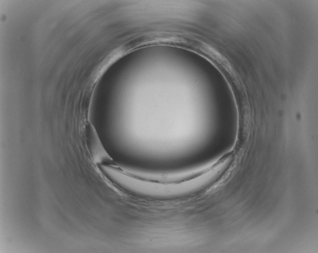 X0000070431377200606302115