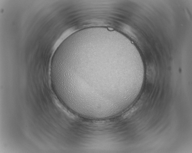 X0000070431378200606302115