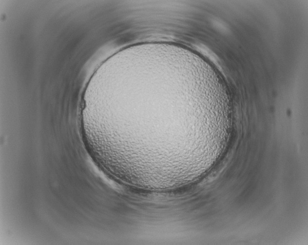 X0000070431379200606302115