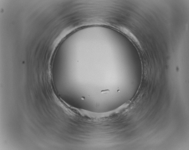 X0000070431380200606302115