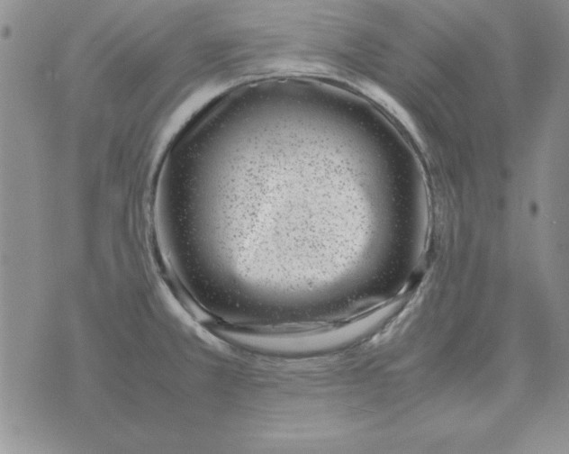 X0000070431381200606302115