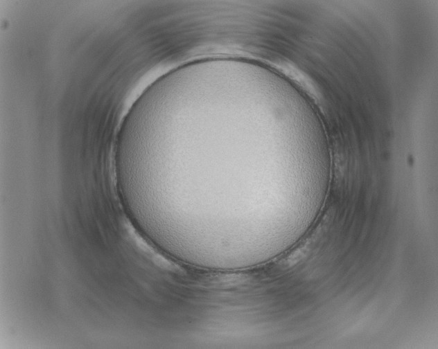 X0000070431382200606302115