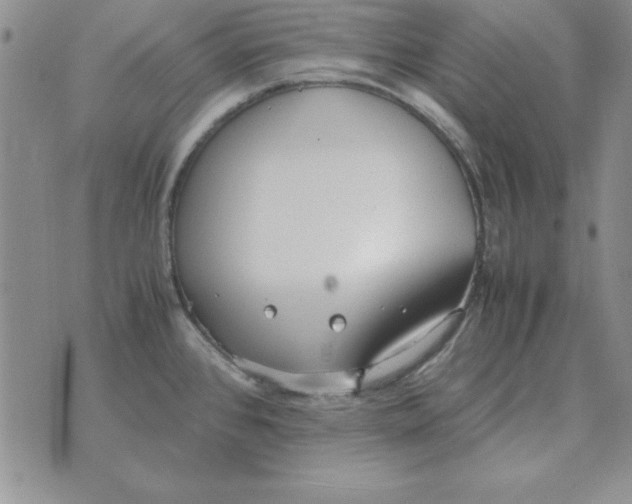 X0000070431384200606302115