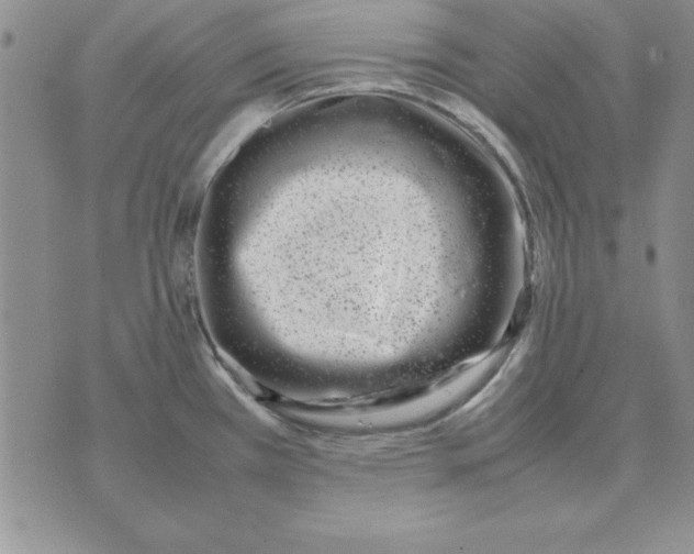 X0000070431385200606302115