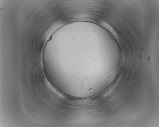 X0000070431386200606302115