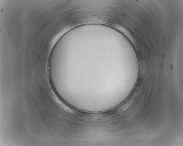 X0000070431387200606302115