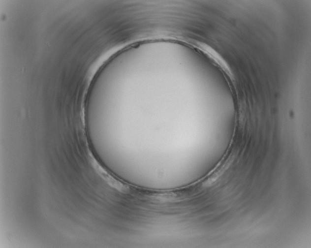 X0000070431388200606302115