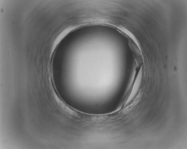 X0000070431389200606302115