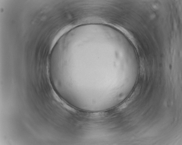 X0000070431390200606302115