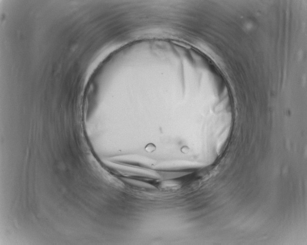 X0000070431392200606302115