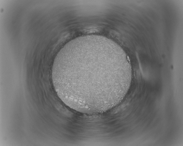 X0000070431393200606302114