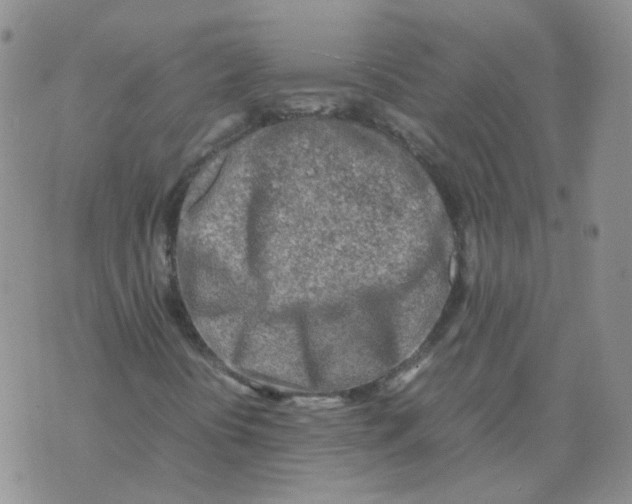 X0000070431394200606302114