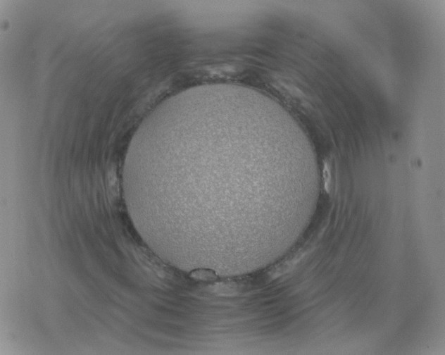 X0000070431395200606302114