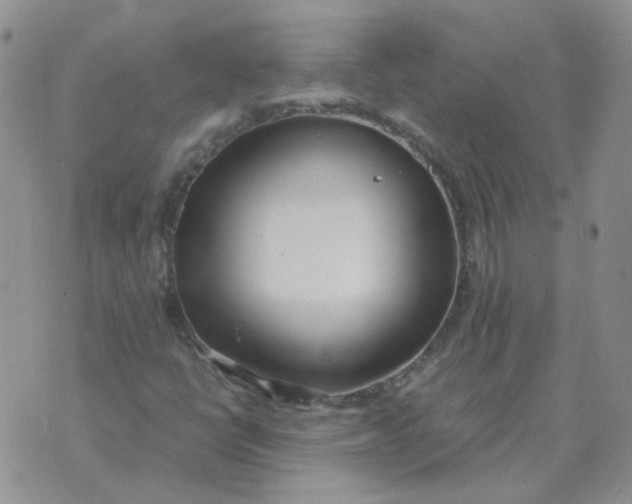 X0000070431398200606302114