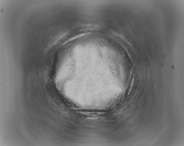 X0000070431399200606302114