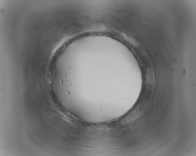 X0000070431400200606302114