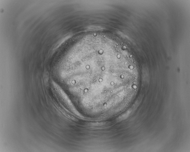 X0000070431401200606302114