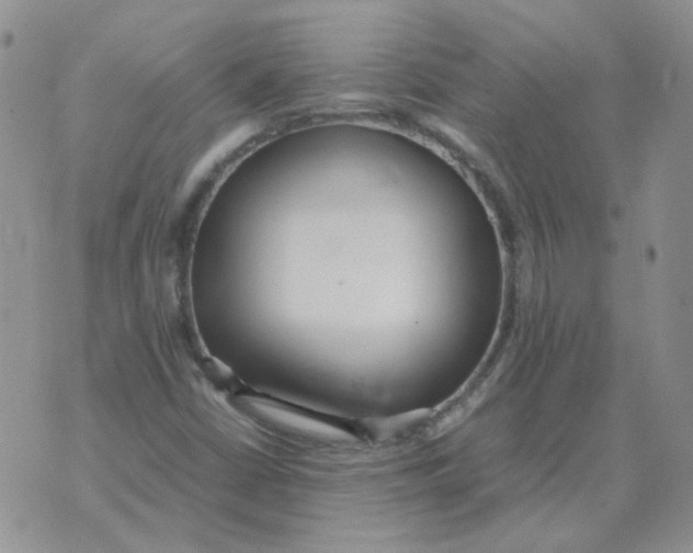 X0000070431402200606302114