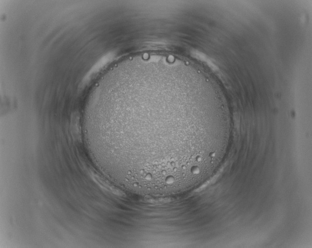 X0000070431403200606302114