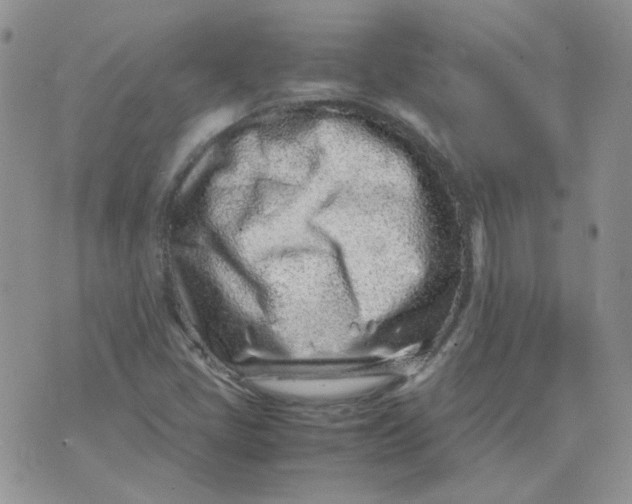 X0000070431405200606302114