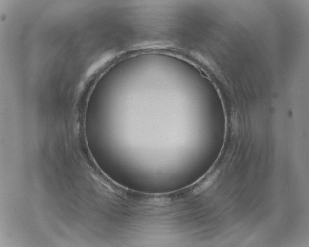 X0000070431406200606302115