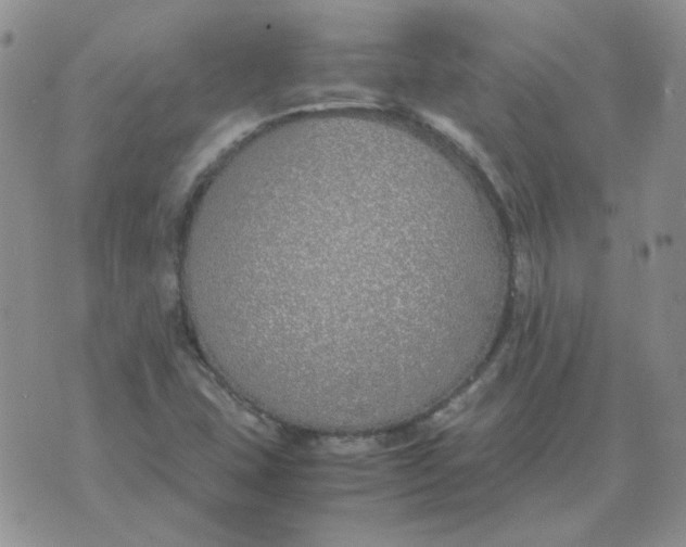 X0000070431407200606302115