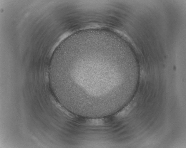 X0000070431409200606302115