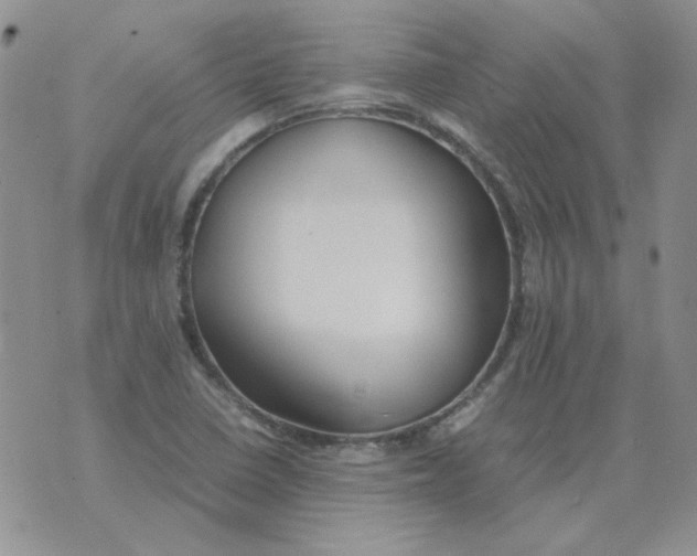 X0000070431410200606302115