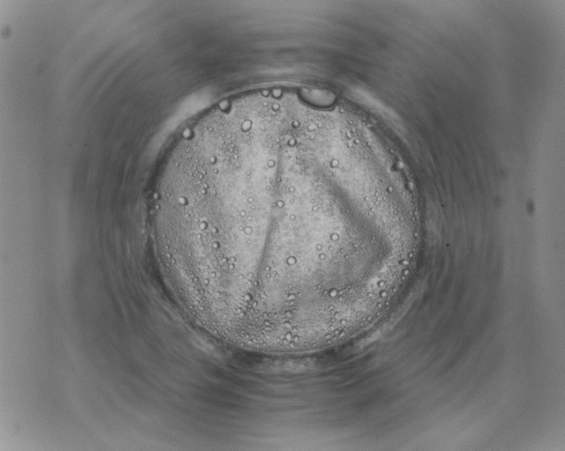 X0000070431411200606302115