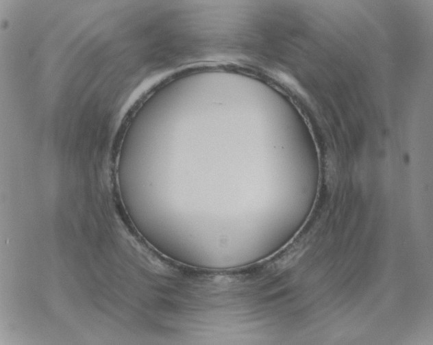 X0000070431412200606302115