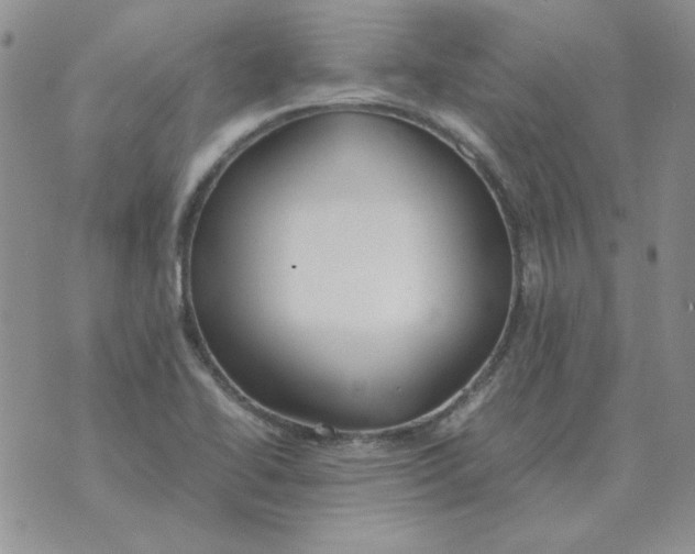 X0000070431414200606302115