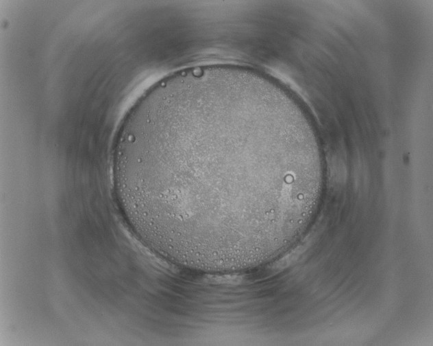 X0000070431415200606302115