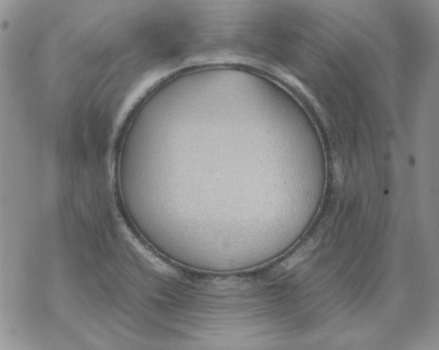 X0000070431416200606302115