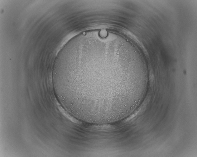 X0000070431417200606302115