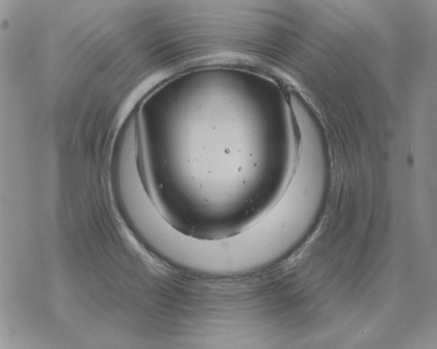 X0000070431418200606302115