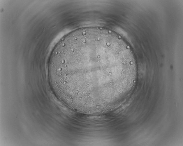 X0000070431419200606302115