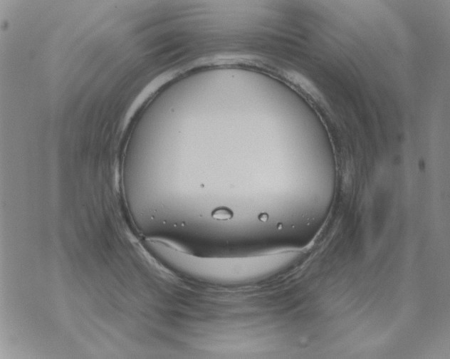 X0000070431420200606302115