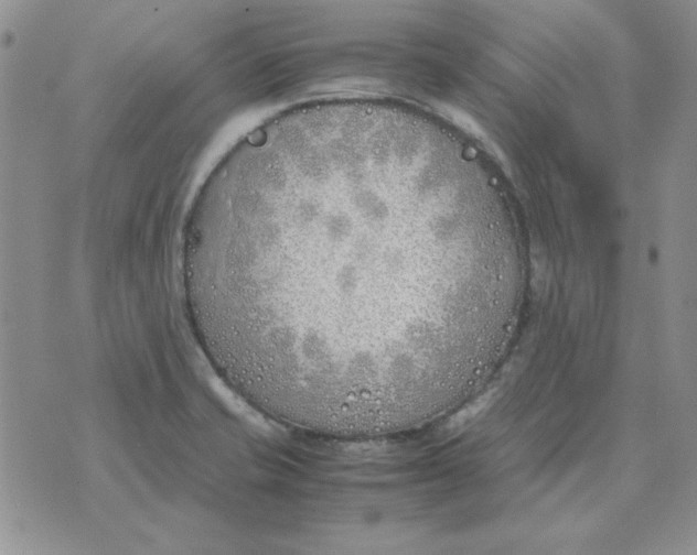 X0000070431421200606302115