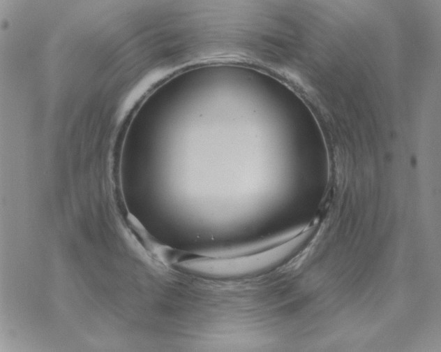 X0000070431422200606302115