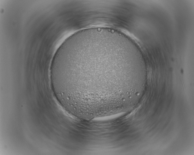 X0000070431423200606302115