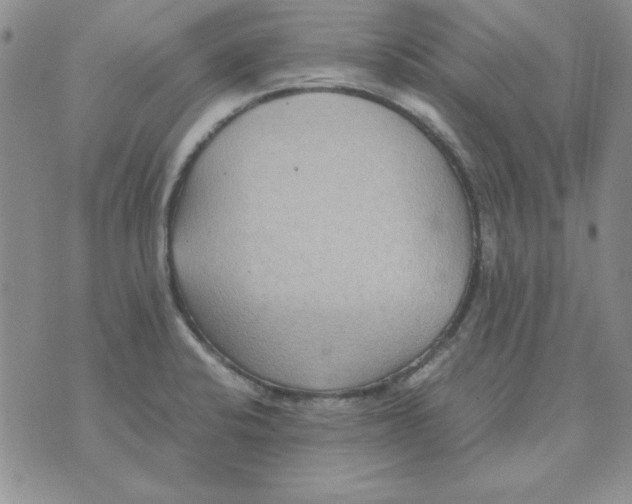 X0000070431424200606302115