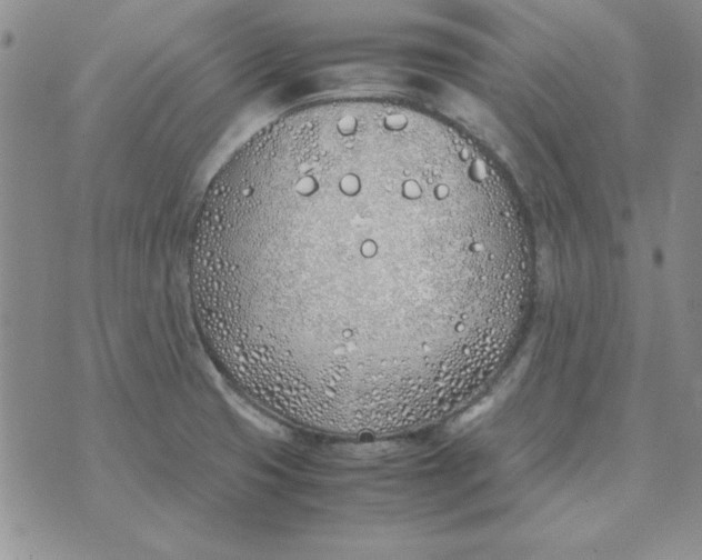 X0000070431425200606302115