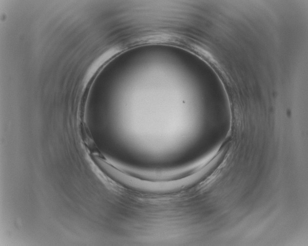 X0000070431426200606302115