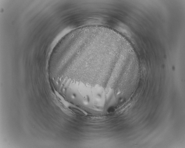 X0000070431427200606302115