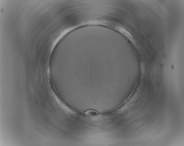 X0000070431428200606302115