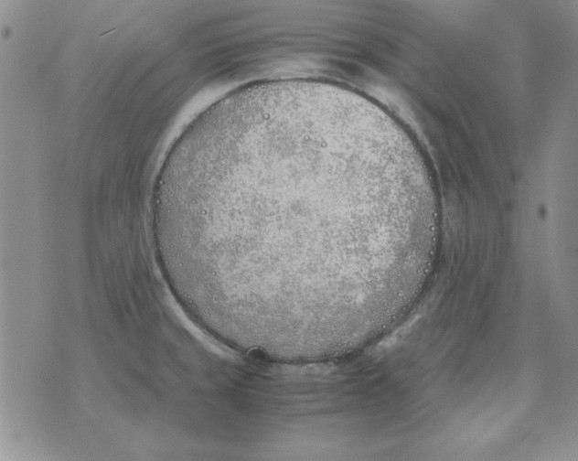 X0000070431429200606302115