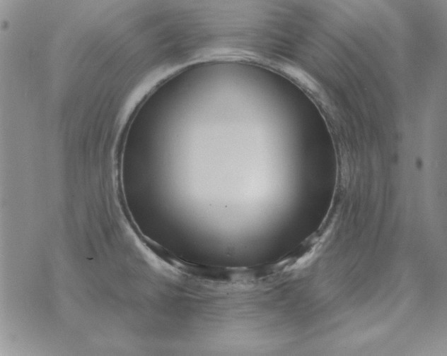 X0000070431430200606302115