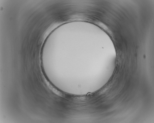 X0000070431431200606302115