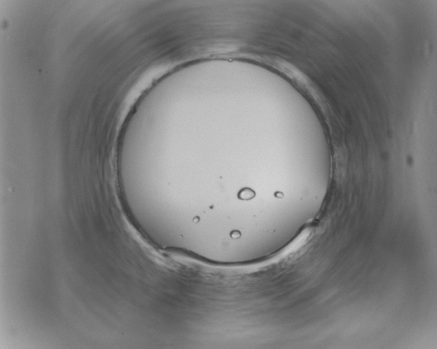 X0000070431432200606302115